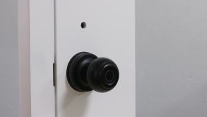Smart Fingerprint Door Lock Fingerprint Door Knob Keyless Entry Door Lock Fingerprint Unlocking Mobile App Unlocking Key Unlocking for Home Hotel Office Apartment Bedroom Black