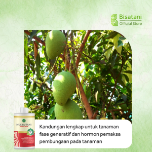 Hainut Buah 500ml Pupuk Pelebat Buah dan Bunga Pupuk Booster Tanaman Nutrisi Tanaman biar Cepat Berbuah