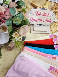 Combo 5 Quần Lót Nữ Thun Cotton Lưng Cao Đáy Dài (BigSize 70-85 Kg) 8008 Co Giãn Tốt Mặc Dễ Chịu Mát Mẻ - Đồ Lót Quỳnh Anh