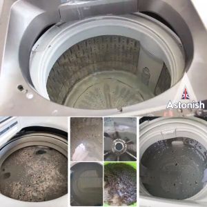 (HCM) Tinh Dầu Gỗ Thông Nguyên Chất Tạo Hương Thơm Kiểm Soát Mùi - BOBA NATURALS