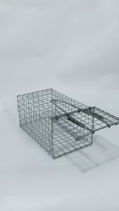 Bẫy Chuột Đồng Kích Thước 17x9x8 cm