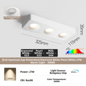 DENGFU | Vintage Style Match-Paint Ultra-Thin Surface Mounted Recessed Spotlight