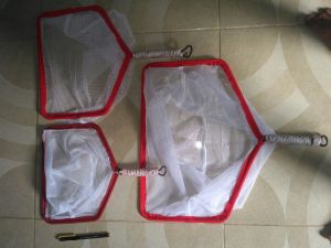 Serokan Seser Saringan Sairan Tangguk Lamit Ikan Kecil Burayak Larva 30cm 40cm 50cm 60cm