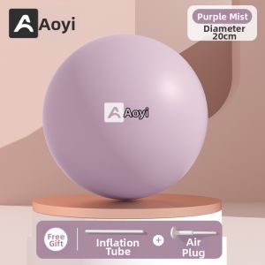 AOYI | Pelvic Floor Rehabilitation Postpartum Exercise Fitness Ball Pilates Ball For Home Use