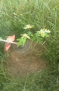 ใบมีดตัดหญ้าซิ่งรุ่นอัพเกรด A+ (ครบชุด ตามภาพ) ตัดไม่ต้องกลัวโดนต้นไม้ ไม่ต้องกลัวโดนท่อน้ำ ปลอดภัย ต๊าฟเกลียวที่ใบมีด มีน็อตตัวเมียล็อคกันน็อตคาย