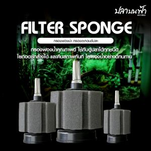 กรองฟองน้ำ กรองฟองน้ำแบบต่อออกซิเจน ช่วยเป็นที่อยู่ของแบคทีเรีย ดูดสิ่งสกปรกมาไว้ที่กรอง กำจัดของเสียได้ดี