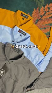 Baju Kemeja Anak Laki-Laki Import 1-14 Tahun Bayi Lengan Panjang