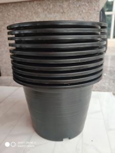 กระถาง 8 นิ้วดำ แพ็ค 10 ใบ ราคาถูก