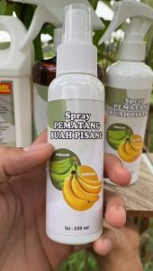 PEMATANG PISANG | MATENG Dalam 2 Hari | PISANG Mateng Secara INSTANT | 5 Liter