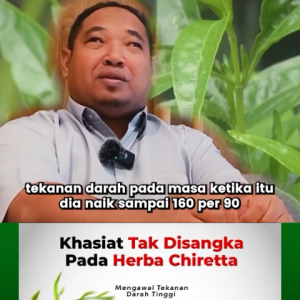 CHIRETTA HERBS kapsul sakit sendi dan bantu gula tinggi terkawal