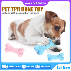 Mainan Gigitan Karet Untuk Anjing / Kucing | Rubber Dog Cat Bite Toys Bell