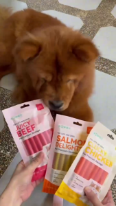 KAWAII Pet Premium Meat Sausage Sticks for Dogs & Cats Supports stomach health Dental & Breath Care Premium meat treat Calming pet snack