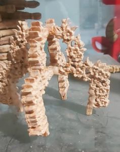 trao lồng chim tích hoa mai.