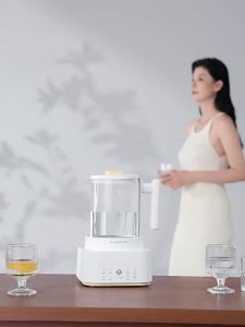 SHI YUE JIE JING | Multifunctional Glass Thermostat Baby Water Heater