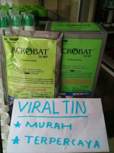acrobat 50 wp 40 gr fungisida pembasmi hama jamur pada tanaman