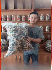 Authentic Xinhui Chrysanthemum Peel Sun-Dried for 10 Years Special Product Village Snack Dried Fruit Guangdong Jiangmen City