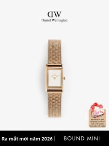 Daniel Wellington | Đồng Hồ Nữ Đẹp Vintage Hiện Đại Mini