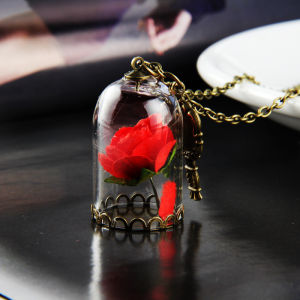Beauty and the Beast Necklace Rose in Terrarium Pendant His Beauty/Her Beast Fairy Tale Movie Victorian Jewelry anniversary gift