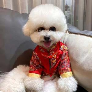 New Year Festive Dog Clothes Teddy Bichon Pomeranian Puppy Anti-Hair Winter Warmth Polyester Fiber Traditional Tang Costume