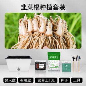Bean Bag Flower Pot Automatic Water Feeding Plastic Planting Box Vegetable Planting Handy Gadget Family Balcony Bonsai Green Radish Special Rectangular