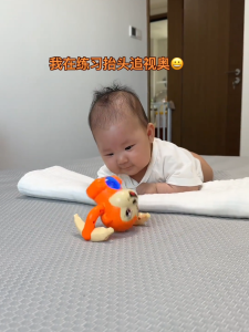 Đồ Chơi Giáo Dục Cho Trẻ Sơ Sinh 0-6 Tháng Tuổi Đồ Chơi Hướng Dẫn Tập Bò Cho Trẻ Sơ Sinh Đồ Chơi Giáo Dục Sớm Đồ Chơi Động Vật