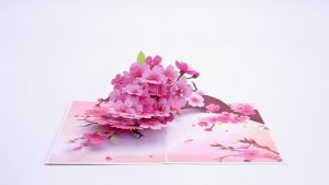 Cymbidium Orchids Pop-up Greeting Card with Envelope Flowers Postcard Floral Birthday Cards Valentines Gifts Creative Home Decor