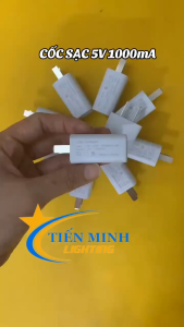 Củ Sạc Chuyên Dụng 5V=1000mA Cho Đồng Hồ Thông Minh Trẻ Em - Sạc Điện Thoại - Quạt Tích Điện - Vợt muỗi