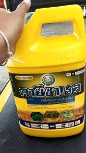 คายีซาเรส กลูโฟซิเนต-แอมโมเนียม 4 ลิตร หวีทอง สารฆ่าหญ้า ใบแคบ ใบกว้าง แบบดูดซึม และ เผาไหม้ หญ้าขน หญ้าคา แห้วหมู สลายตัวง่ายไม่ตกค้าง คายิซาเรส ราคา คายิซาเรส วิธีใช้ - Lazada