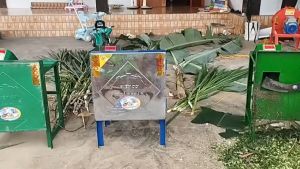 Máy băm cỏ voichuối lát năng suất 500-700kg//giờ