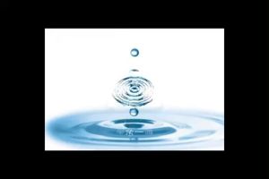 Original Blueberry Eye Drops: Effective Relief for Dry, Sore & Itchy Eyes