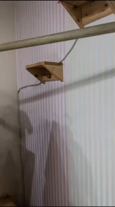 Setelan Imlek Anak Merah–Baju Kaos & Celana Motif Kuda Emas / Motif Shio Kuda Usia 1-10 Tahun Hanfu