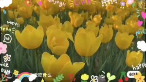 Limited Time Only: 5pcs Artificial Garden Tulip Tulips Flower Bridal Bouquet Wedding Party Home Decor