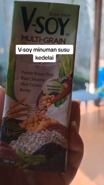 4PCS V Soy Minuman Susu Kedelai Soya Bean Milk Multi Grain