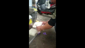 220V Commercial Poultry Cutting Saw - Electric Chicken/Duck/Goose Meat Segmentation Machine for Butchers