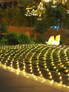 BEAUTY IN THE LIGHT | Solar Ambient Decorative Landscape Light