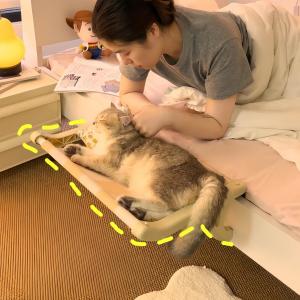 Cat Bed Cat Hanging Bed Cat Nest Four Seasons Universal Bedside Removable and Washable Moisture-Proof Cat Hammock Window Sun-Drying Pet Bed
