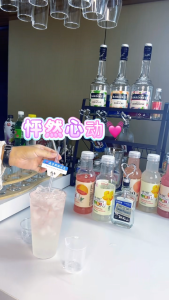 DIY Cocktail Kit - Flipped Vodka Cocktail Set | Home Bartender Pack w/ Vodka Blood Orange & Lemon Drinks Cups & Straw