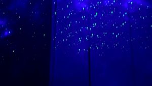 Lampu Proyektor Dengan Speaker Langit Malam Bintang 2in1 Galaxy Projector Light Lampu Tidur