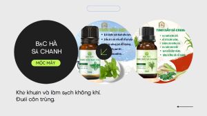 (HCM)Hoa Lài 10ml Tinh Dầu Thiên Nhiên Hoa Lài Xông Hương Thơm Giảm Stress Hoa Lài 10ml - Rô Organic
