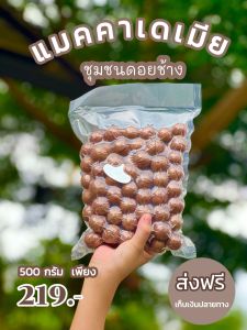 ถั่วแมคคาเดเมีย จากดอยช้าง จังหวัดเชียงราย อบพร้อมทาน  ( ฟรีที่แกะ ) 500 กรัม