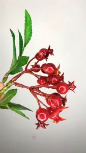 Bunga Plastik Artificial Tanaman Buah Palsu Setangkai Kembang Hias Bunga Tiruan Artifisial - AF03