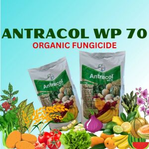 ANTRACOL - ORGANIC FUNGICIDE