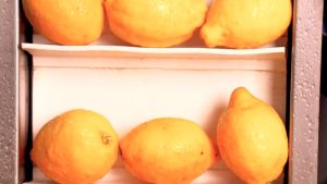 Jus Lemonade Turki Segar/新鮮土耳其檸檬汁/Fresh Turkish Lemonade Juice