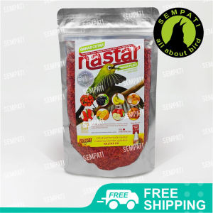 SEMPATI FREE GANTUNGAN BUAH Pakan Burung Pleci Ciblek Decu Gelatik Ganas Cetar Nastar Hw PBPGC