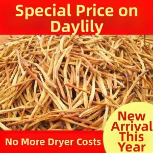 Dried High Quality Farmed Golden Needle Vegetable