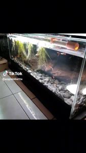 Kandila Pro Red Day And Night View Plus 400 / 600 / 800 / 1000 / 1200 / 1500 / 1800 Lampu LED Celup Aquarium Ikan Arwana dan Ikan Lain