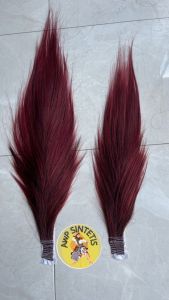 SEPASANG RAMBUT JARAN COKLAT BELAKANG PUTIH