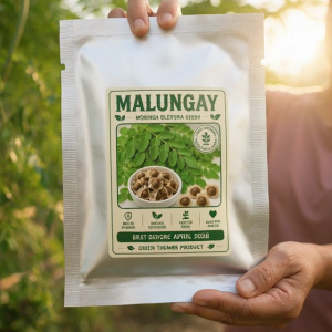 MALUNGGAY / MORINGA OLEIFERA SEEDS – Approx. 15 Seeds Per Pack – Easy to Grow Backyard Superfood Plant