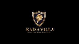 ONELINE KV-903 Kaisa Villa 3L Pressure Cooker: A Comprehensive Guide