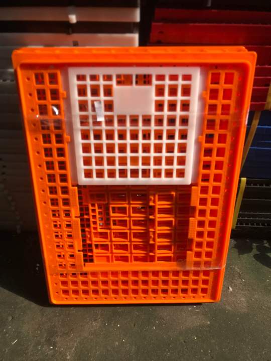 Heavy Duty Live Chicken Crates Lazada PH